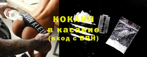 шишки Балабаново