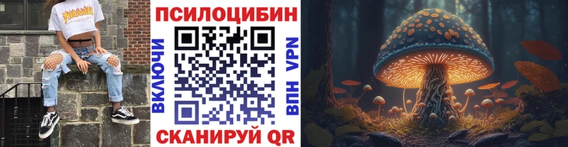 что такое наркотик  Шумиха  Псилоцибиновые грибы MAGIC MUSHROOMS 